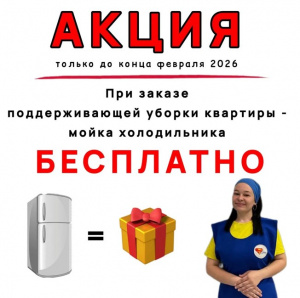 Акция: При заказе поддерживающей уборки - мойка холодильника в ПОДАРОК!